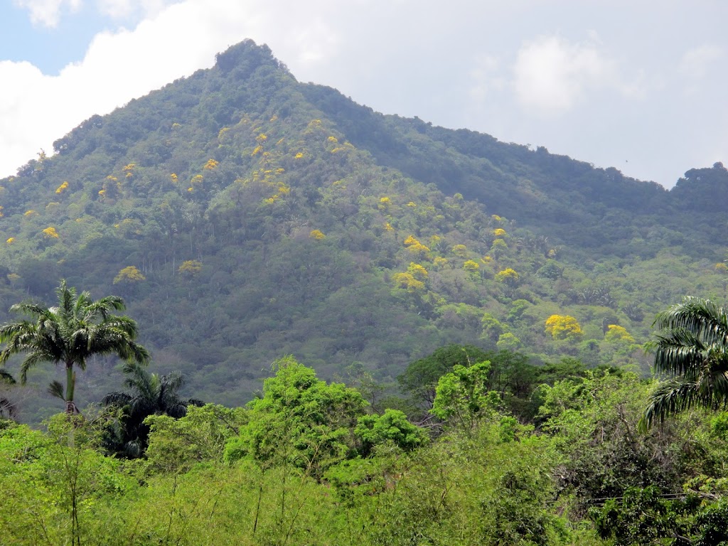 Leia mais sobre o artigo SERRA DE MARANGUAPE