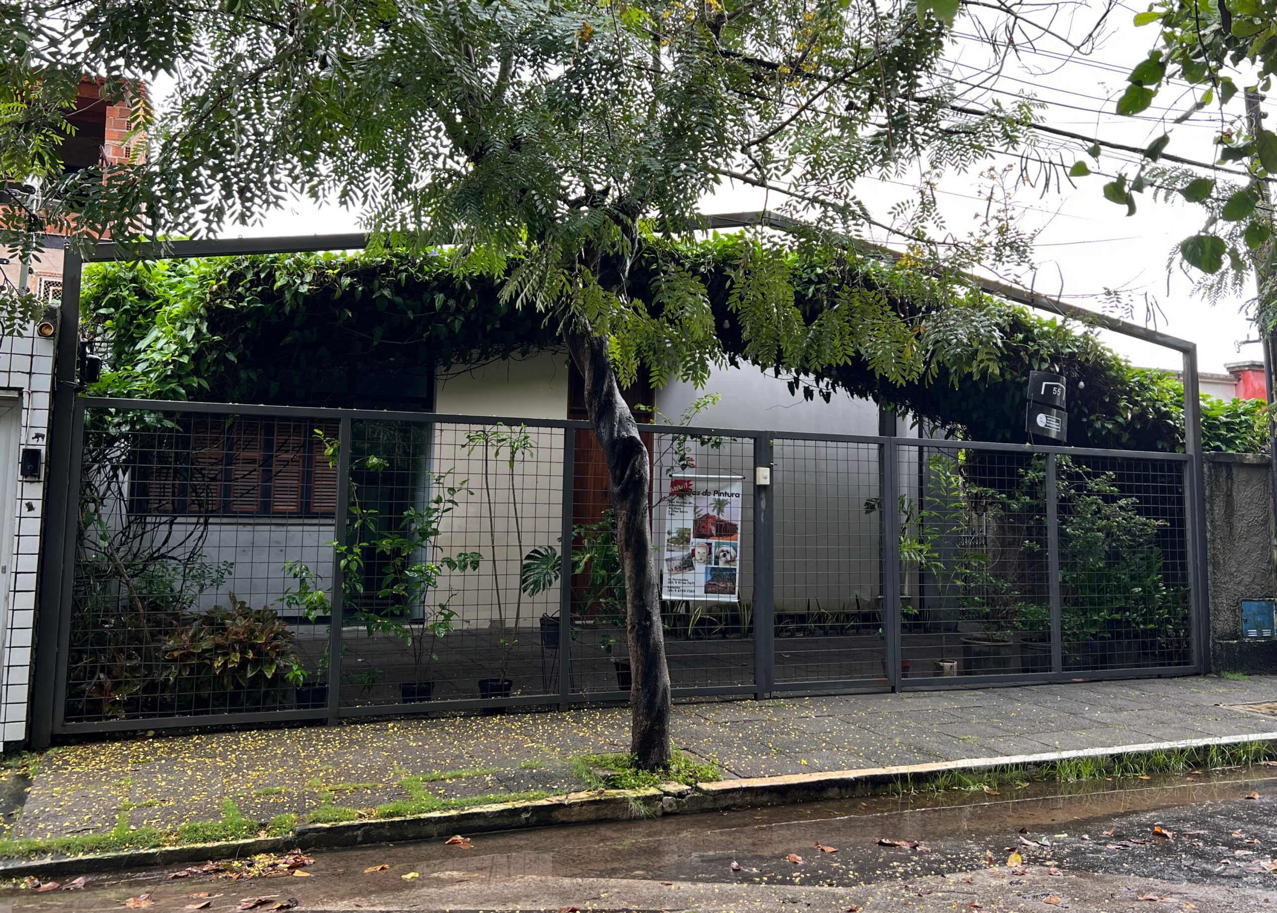 Leia mais sobre o artigo Bom dia a todas e todos!